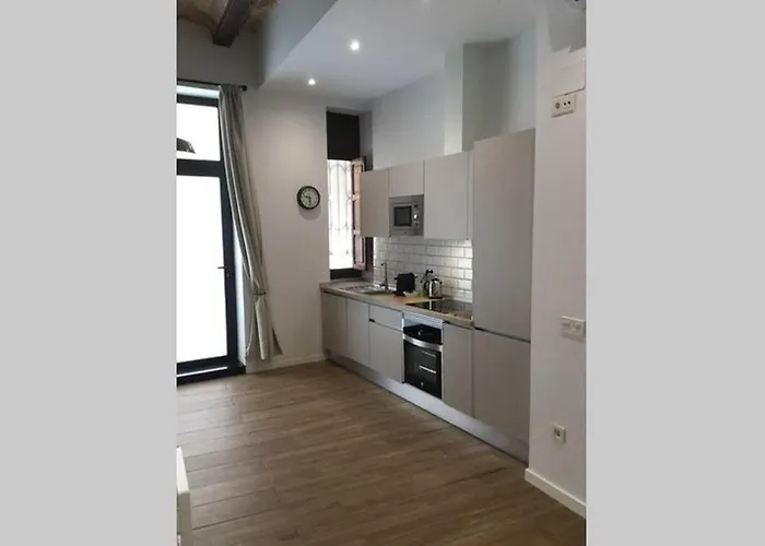 Fantastico Loft En Centro Ciudad Planta Baja Appartement Valencia