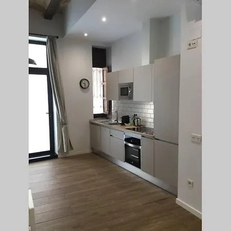 Fantastico Loft En Centro Ciudad Planta Baja Apartman Valencia
